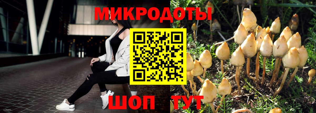 Лангепас  Галлюциногенные грибы мицелий  Вход с VPN 